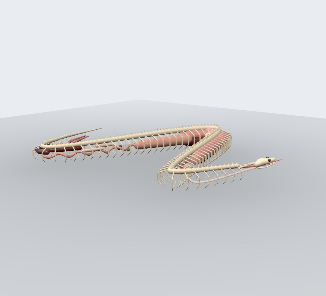 Modelo 3D — Serpente (jiboia)